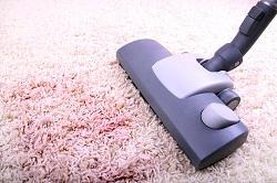 Carpet Cleaners Services in Harringay, N4