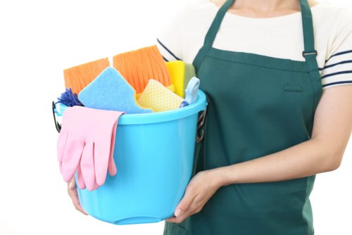 Professional carpet cleaning in a living room