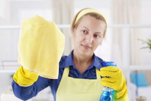 Checklist and final touch cleaning for a new home