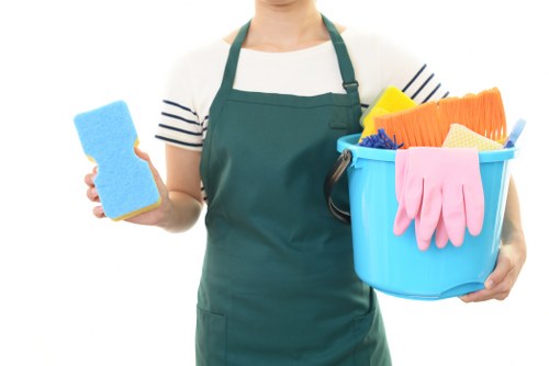 Bathroom sanitation during end of tenancy cleaning
