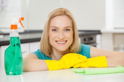 Detailed Harringay cleaning service for a fresh and tidy property
