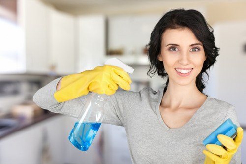 Bathroom sanitizing as part of move out cleaning in Harringay
