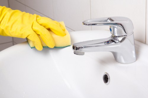 Kitchen and bathroom domestic cleaning routine