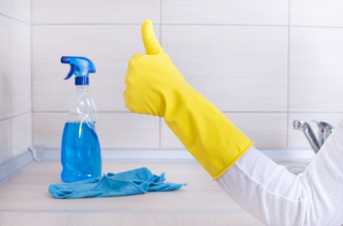 Essential cleaning supplies for effective house cleaning