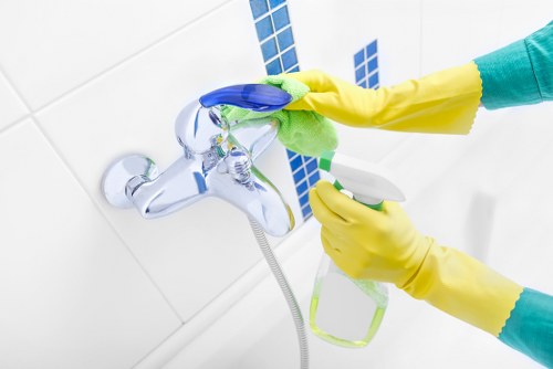 Window cleaning tools and supplies arranged for professional service