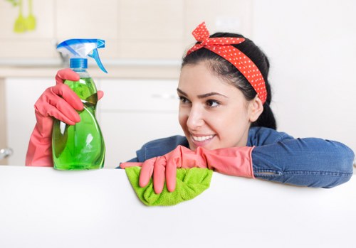 Natural cleaning supplies used for oven cleaning