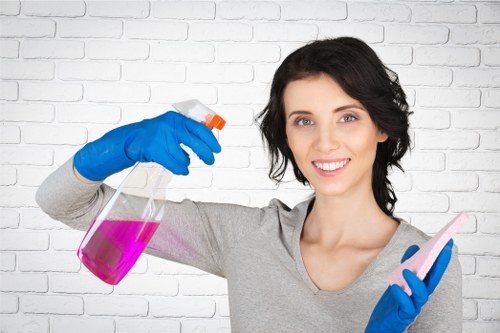 Cleaner maintaining a shared lobby and entrance area
