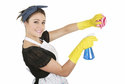 Professional-style oven cleaning in progress