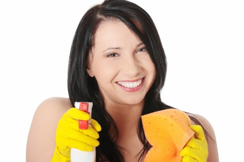 A person organizing a cleaning routine in a modern home