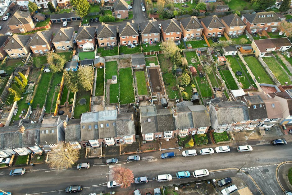 Aerial view of a residential neighborhood in Harringay showing rows of terraced houses with small front gardens, lined along a wide street filled with parked cars. The area is lush and green with tree